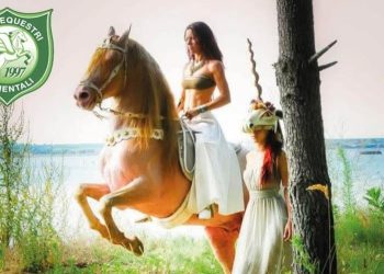 Nuovo Corso di Spettacolo Equestre al Centro Equestre Teatro Zebre