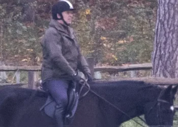 Andrea: niente regno e niente cavallo…