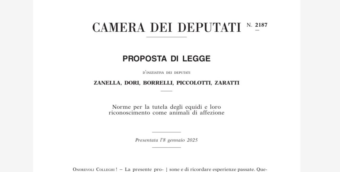 Proposta di legge contro la macellazione degli equidi: il testo completo