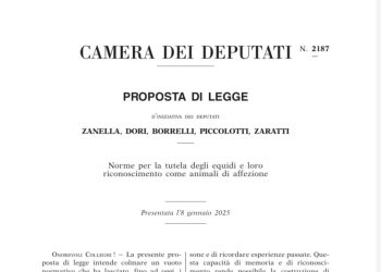 Proposta di legge contro la macellazione degli equidi: il testo completo