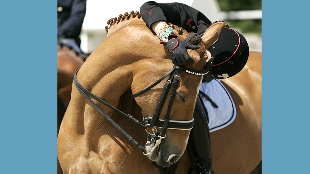 truppa v fixdesign chablis gpspecial