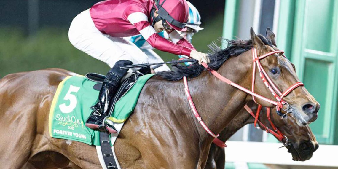 Domani la Saudi Cup: la corsa più ricca del mondo