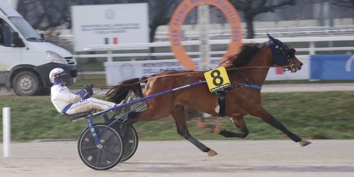 Il Gp Locatelli: il grande trotto è a Milano