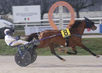 Il Gp Locatelli: il grande trotto è a Milano