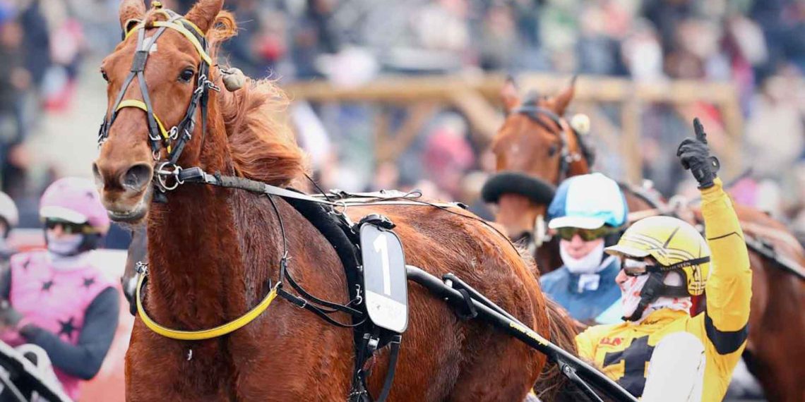 Iroise de la Noé regina del France