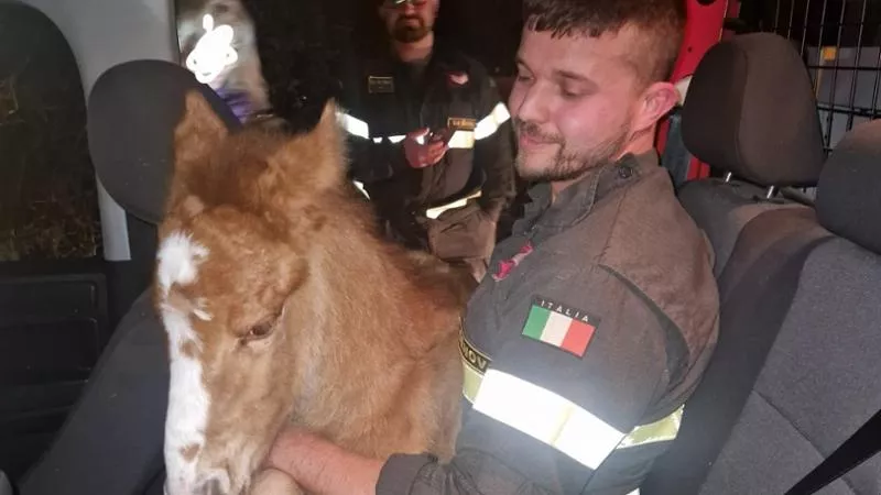 102321204 aa1bee90 c3fd 4828 b705 d8431f10b4c2