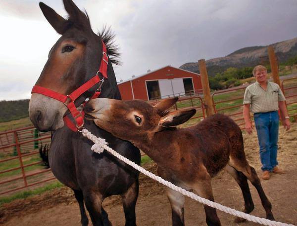 468943771 10162154059324700 1294669343355859207 n