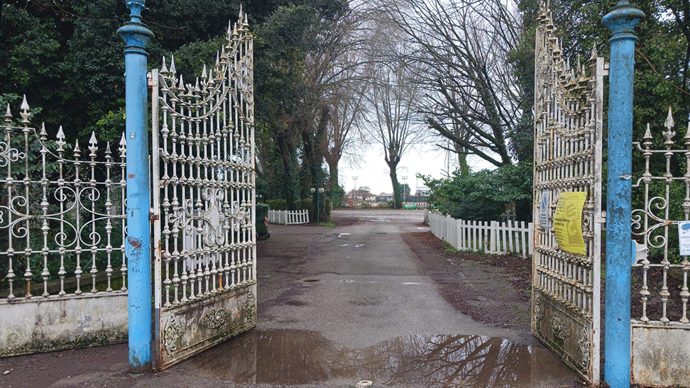 652453358 1251196073651024 3468682870881047093 n