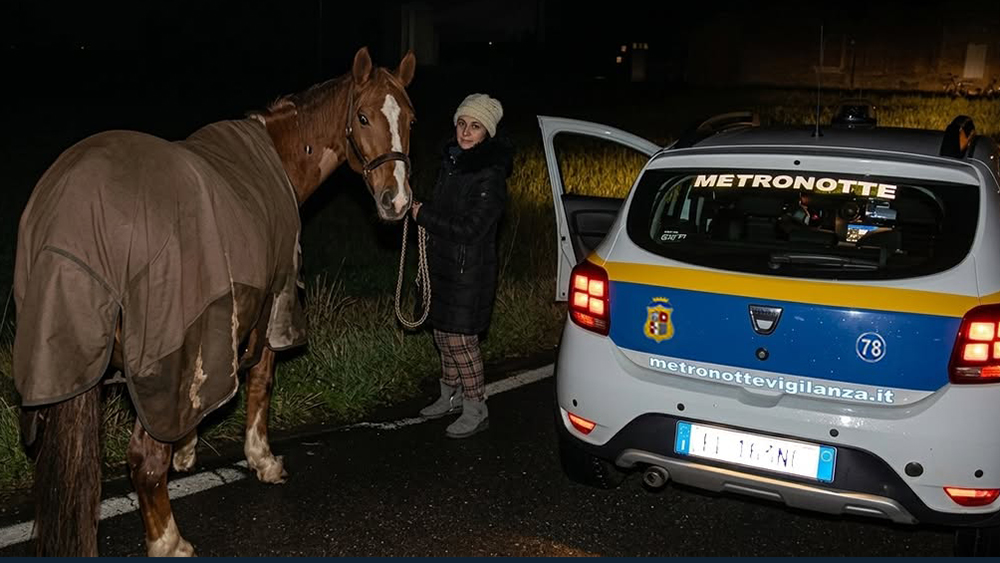 656194706 1569914491805421 4166089991654184256 n