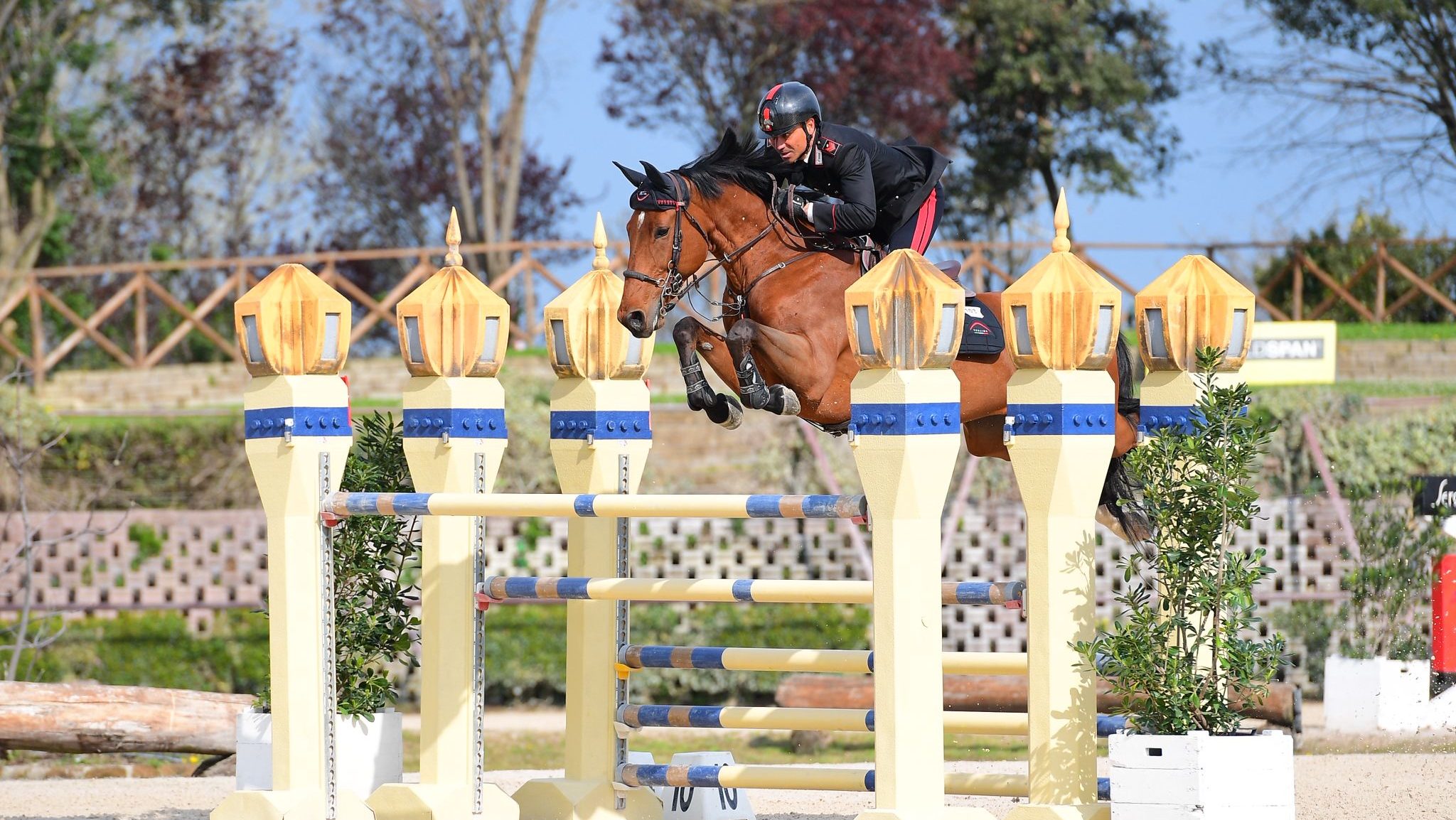 Bruno Chimirri ph. Maro Proli  e1774203857923