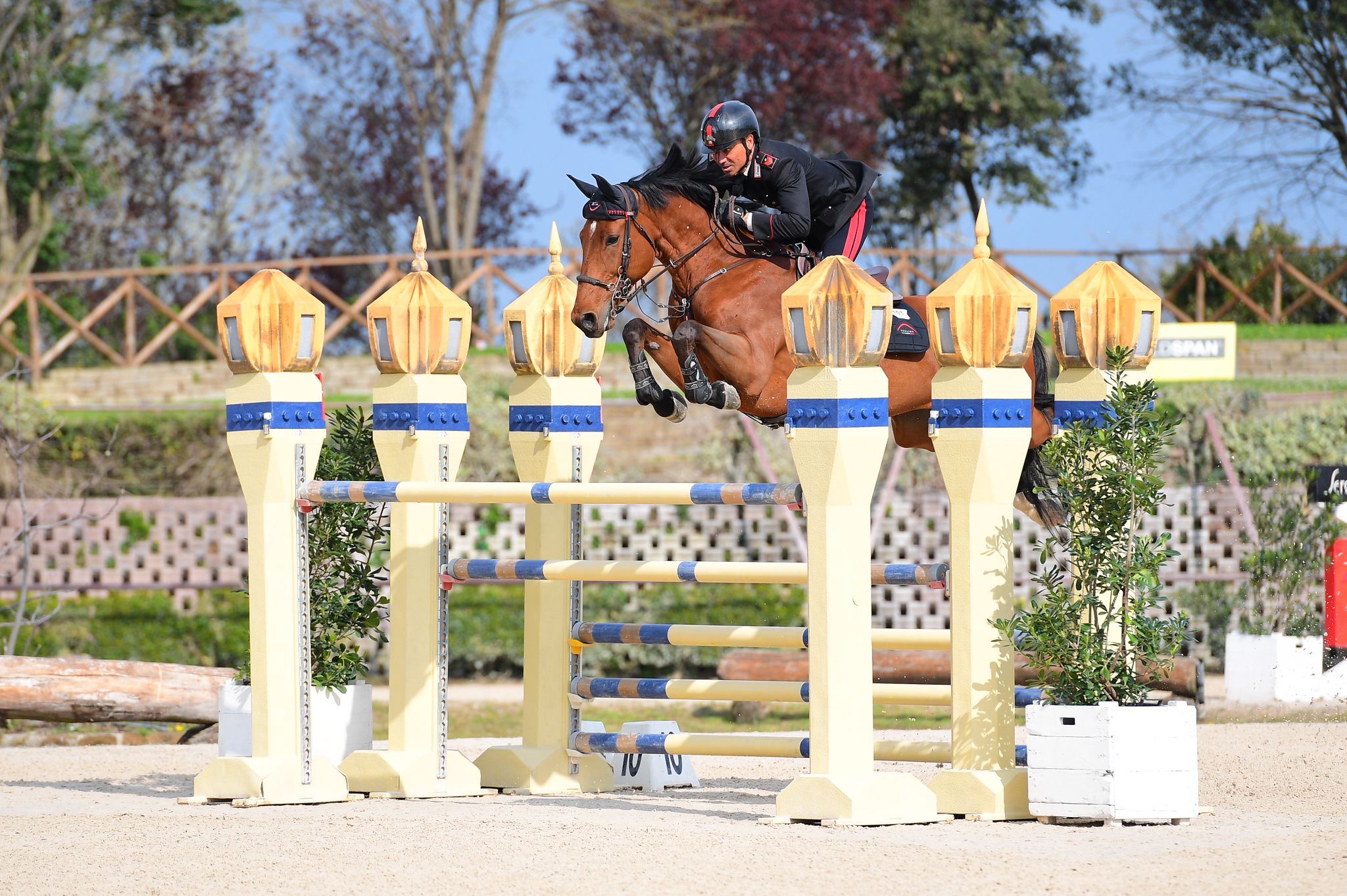 Bruno Chimirri ph. Maro Proli 