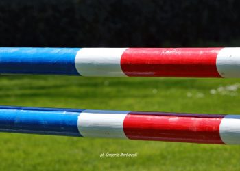 Premier Jumping League, il nuovo progetto internazionale