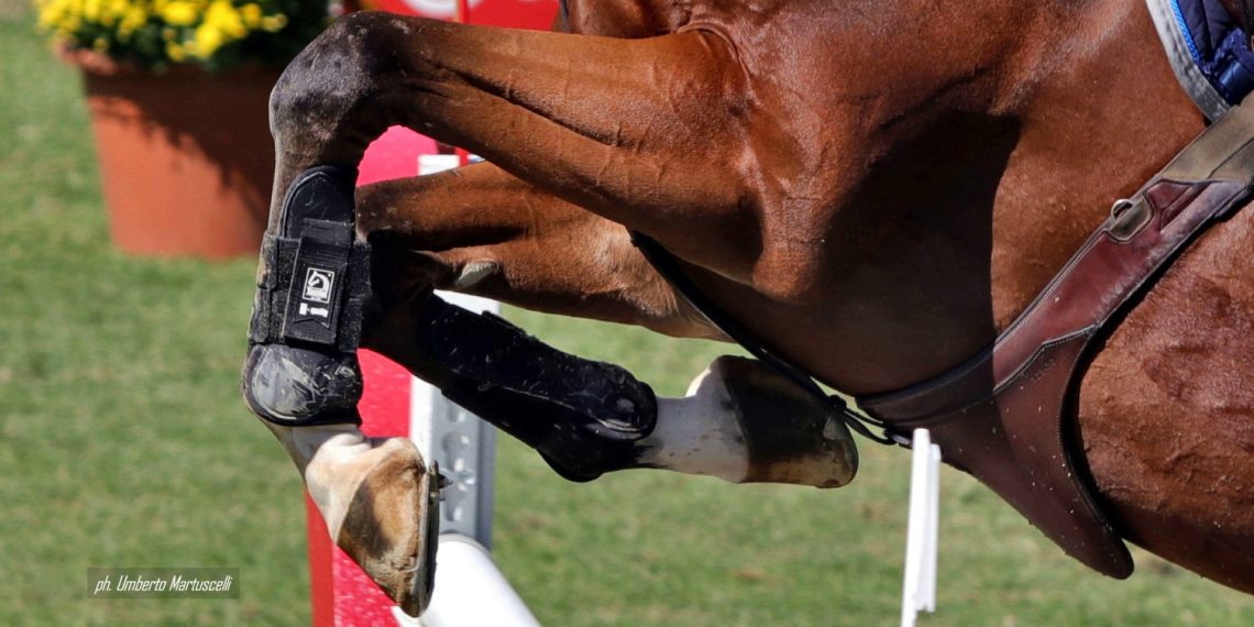 Valencia: Bettendorf protagonista in Gran Premio