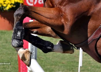 Valencia: Bettendorf protagonista in Gran Premio