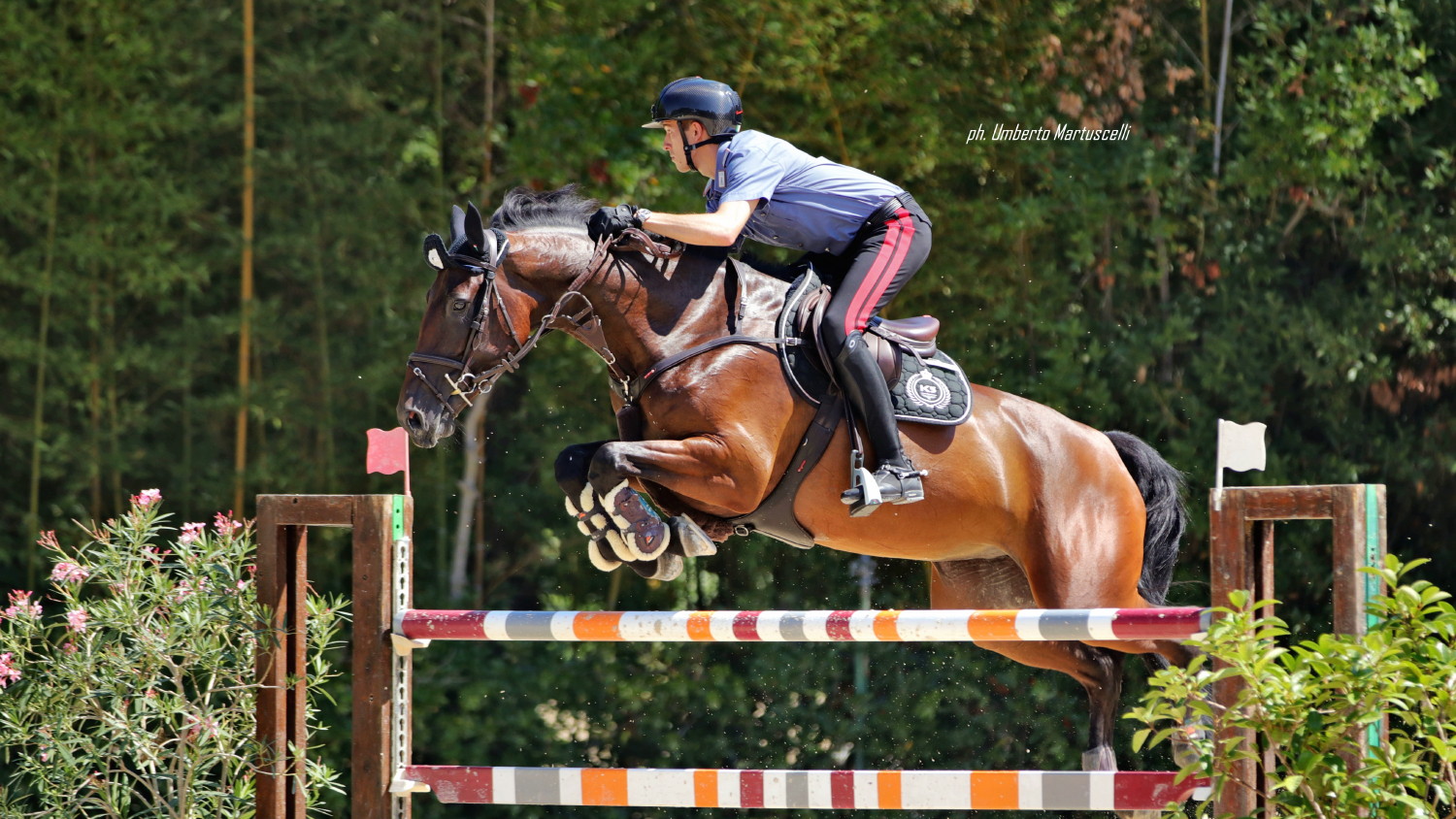 CSI Cervia Giacomo Casadei su Rodania ter Leydonck OK