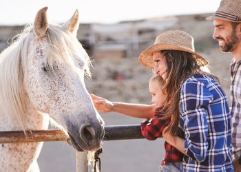 Horse Green Day: a Pisa la presentazione del progetto “Toscana con il Cavallo”