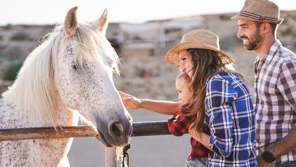 Cavalli e famiglia