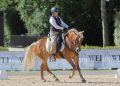 Haflinger, tutti in gara con il Masaf: come Vienna…