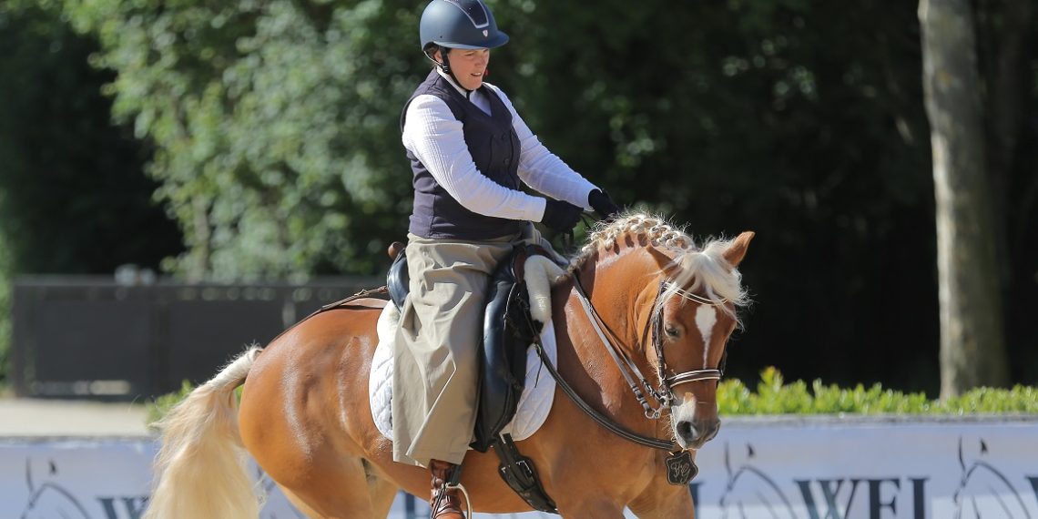 Flora e Vienna, una ‘grande’ Haflinger