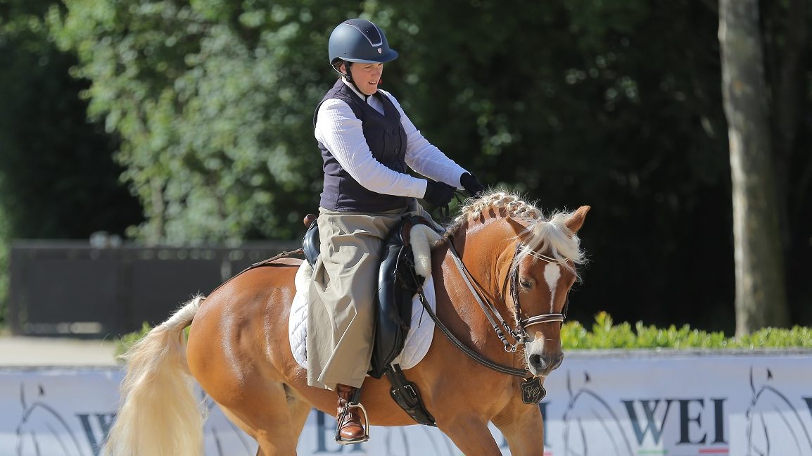 DOME0105.JPG e1774349463108