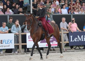 Carletto, il Murgese da Grand Prix, torna in Italia