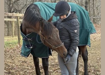 HERF: negli States ci provano così