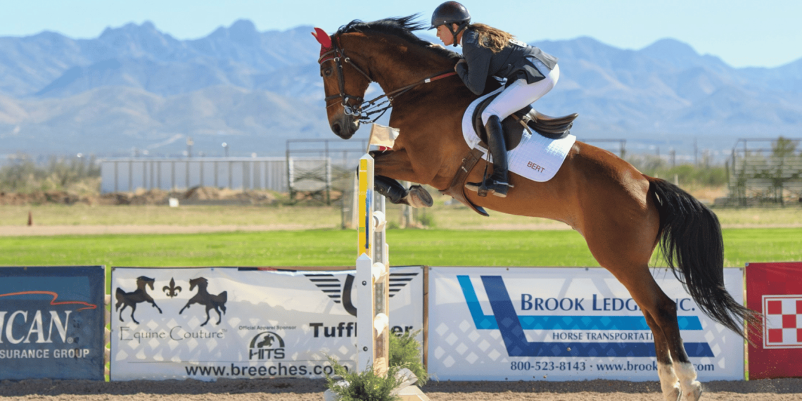 Le articolazioni del cavallo atleta