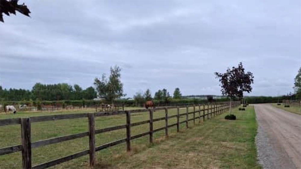 Schermata 2026 03 02 alle 23.19.46