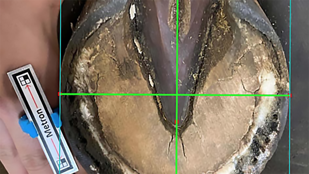 Schermata 2026 03 04 alle 18.47.49