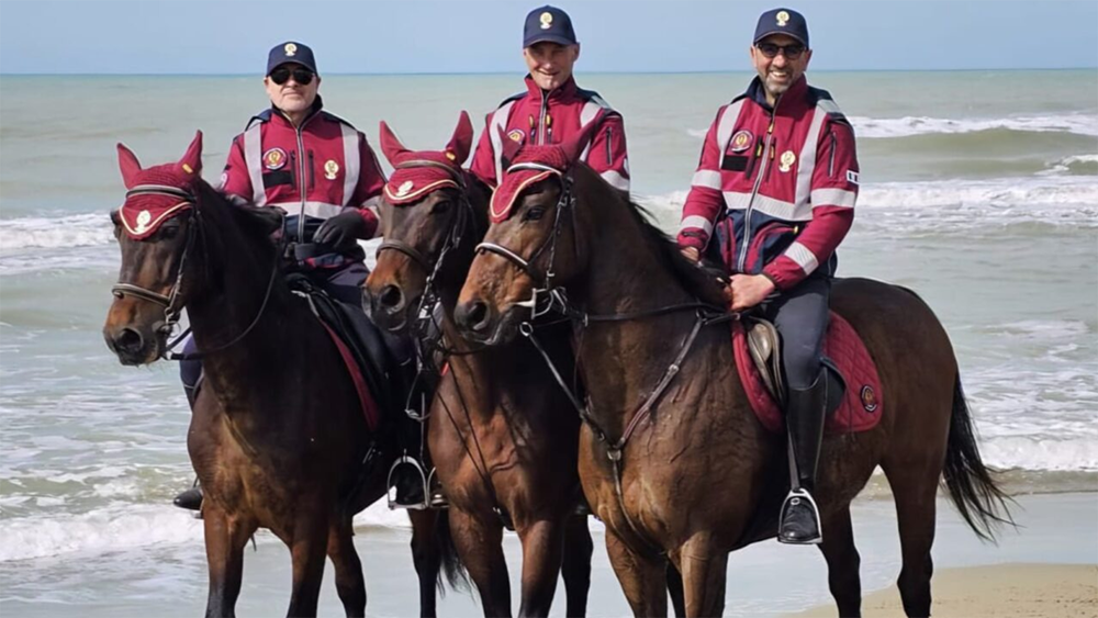 Schermata 2026 03 31 alle 11.48.04