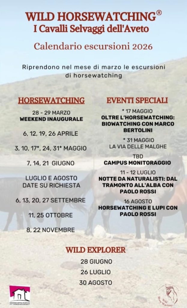 WhatsApp Image 2026 03 03 at 20.18.02 623x1024