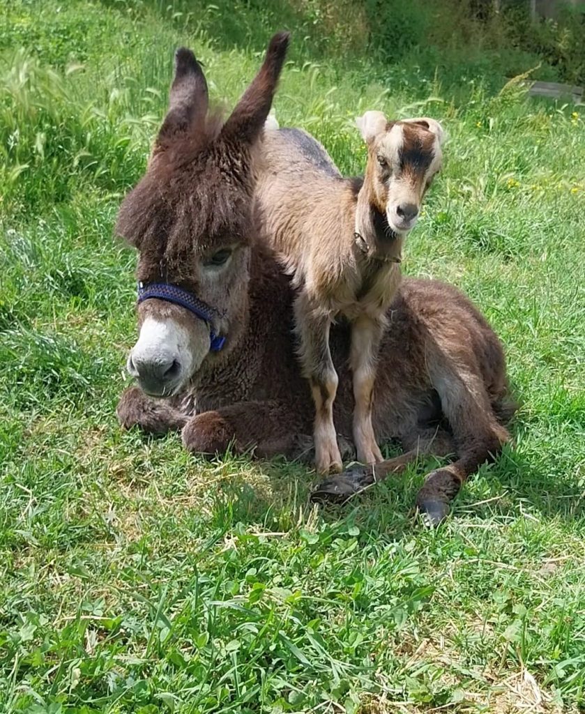 WhatsApp Image 2026 03 04 at 09.54.04 2 839x1024