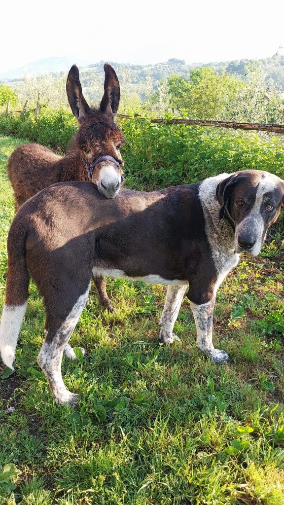 WhatsApp Image 2026 03 04 at 09.54.04 576x1024