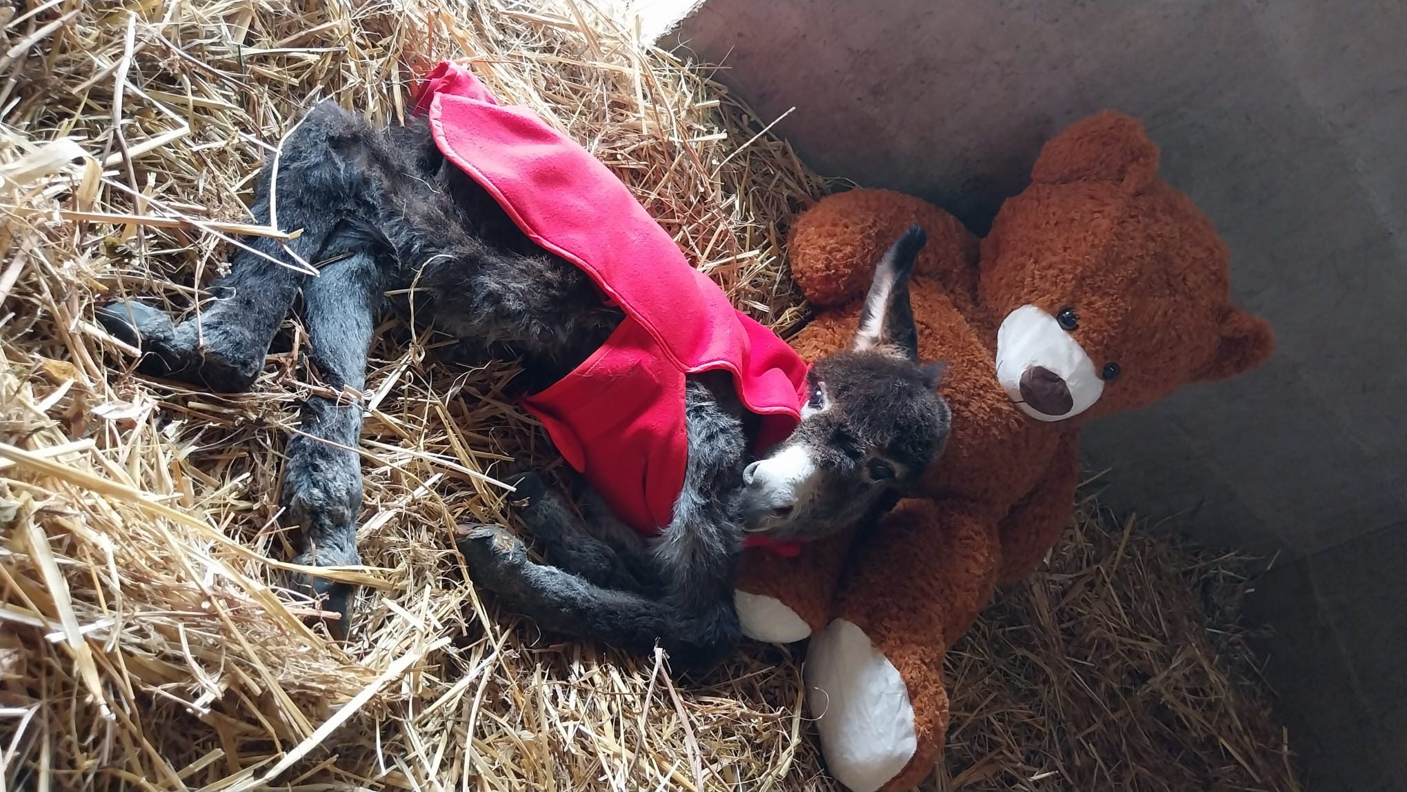 WhatsApp Image 2026 03 04 at 09.54.23 rotated