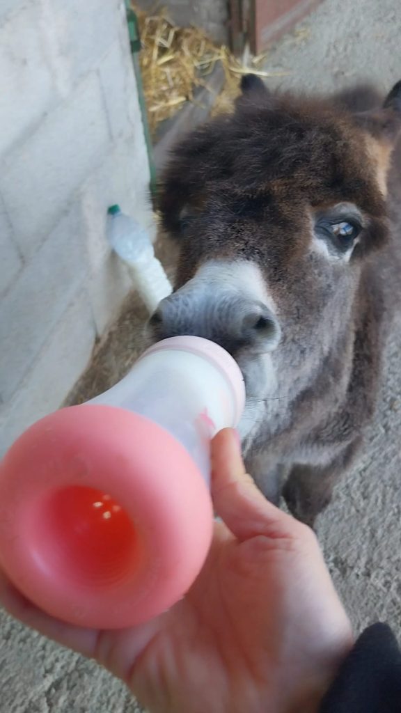 WhatsApp Image 2026 03 04 at 13.01.45 1 576x1024