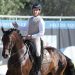 Arezzo: Winter Trophy Working Equitation con 6 nazioni al via