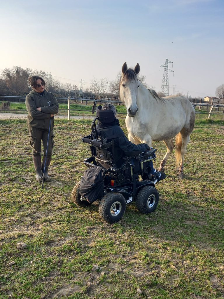 WhatsApp Image 2026 03 13 at 16.54.35 768x1024