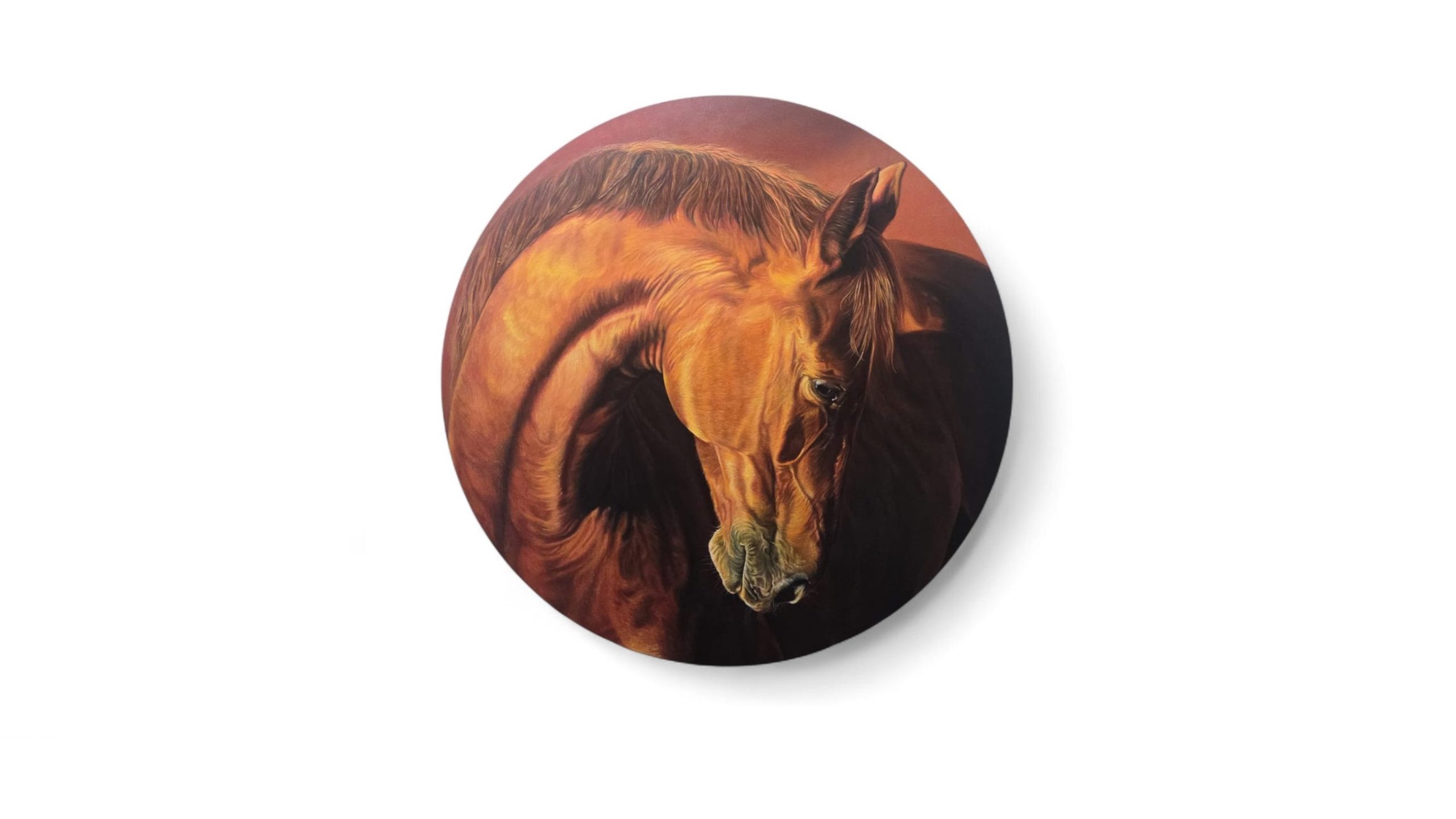 WhatsApp Image 2026 03 14 at 14.54.54 scaled