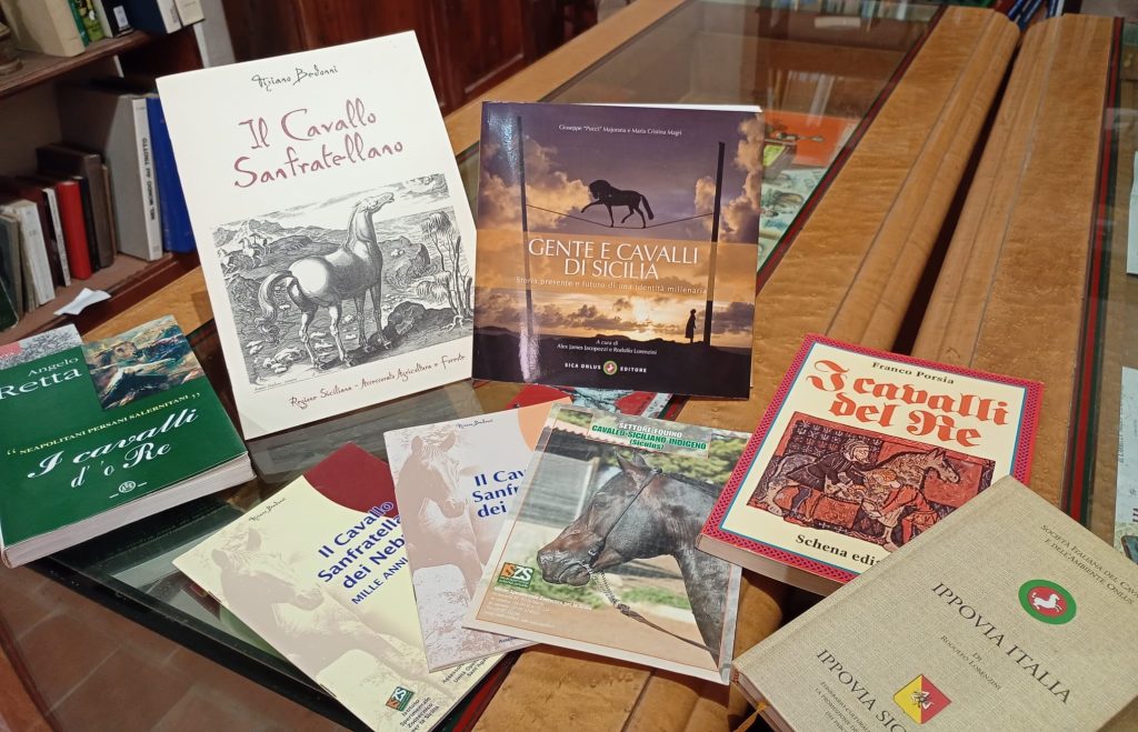 WhatsApp Image 2026 03 17 at 15.00.26 1024x659