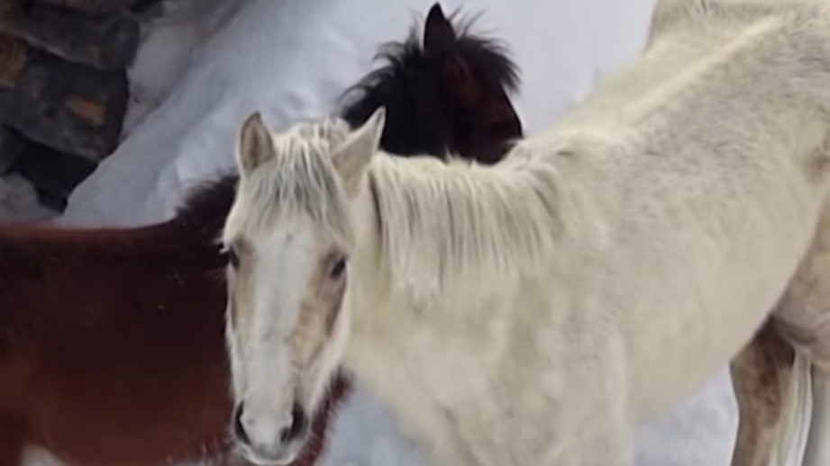 WhatsApp Image 2026 03 30 at 15.18.55