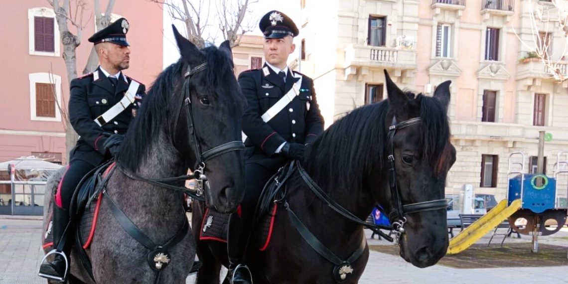Cavalli Murgesi dei Carabinieri a Bari: tradizione, sicurezza e identità