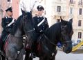 Cavalli Murgesi dei Carabinieri a Bari: tradizione, sicurezza e identità