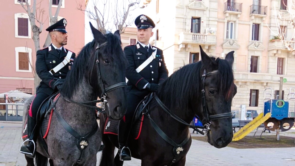 a09eb616 0f41 4b7d 971a ba2e41e12c96 1536x1152 1