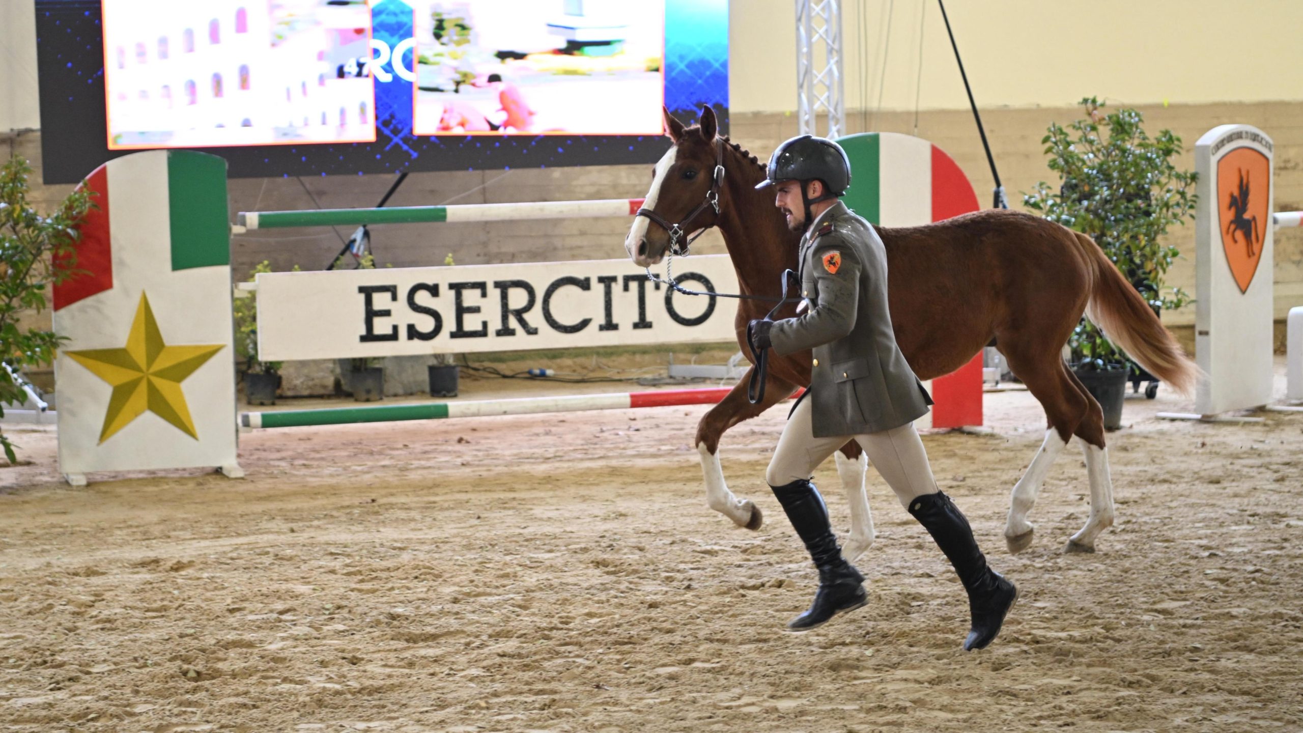 b388b9f2 305b 4e0c 8ea3 d46262b8b155 scaled