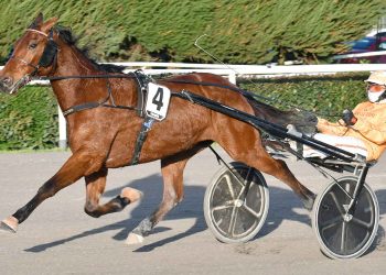 L’80^ edizione del Gp Duomo