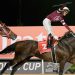 Dominio di Magnitude nella Dubai World Cup