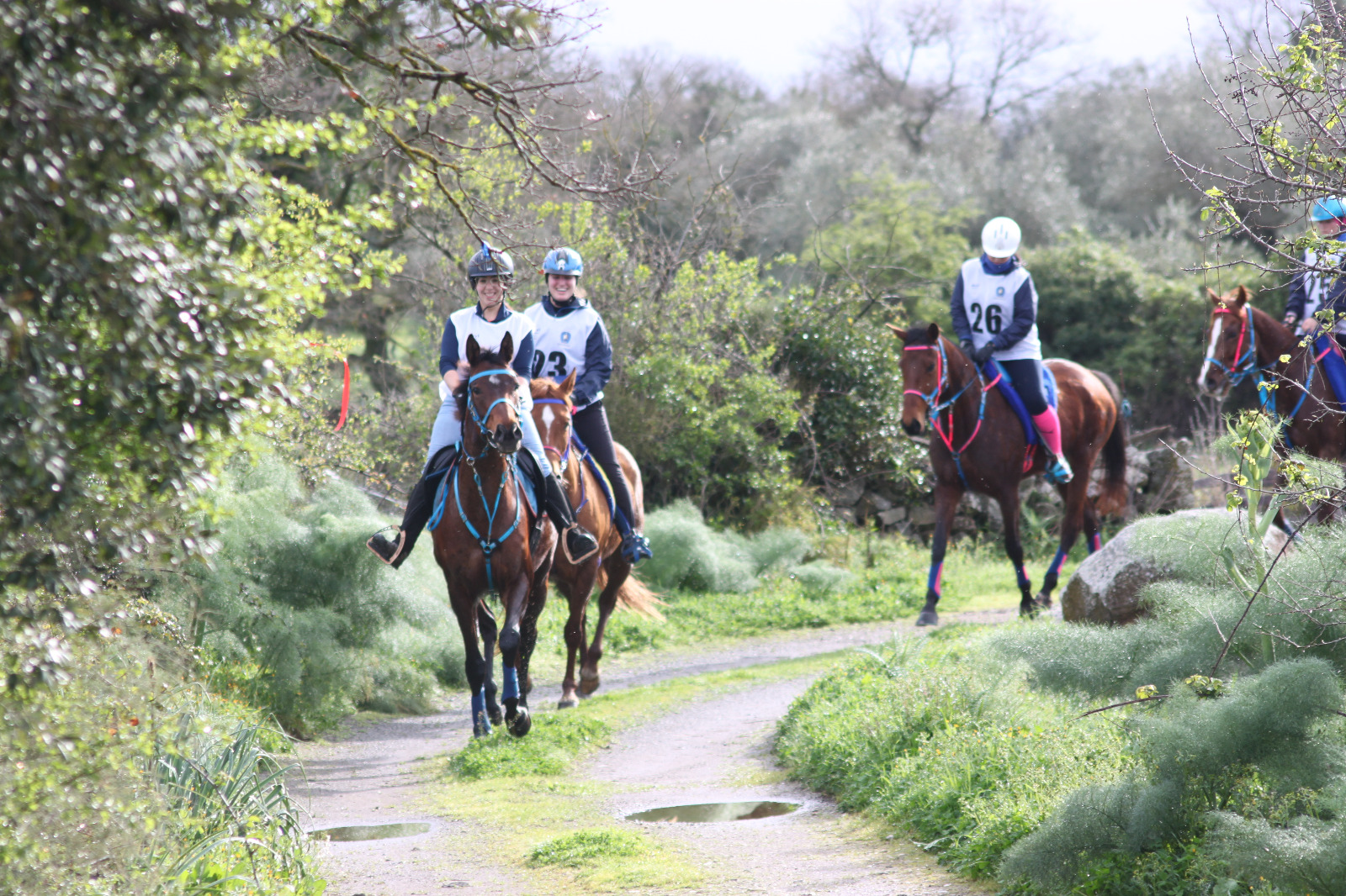 i concorrenti della Cen B