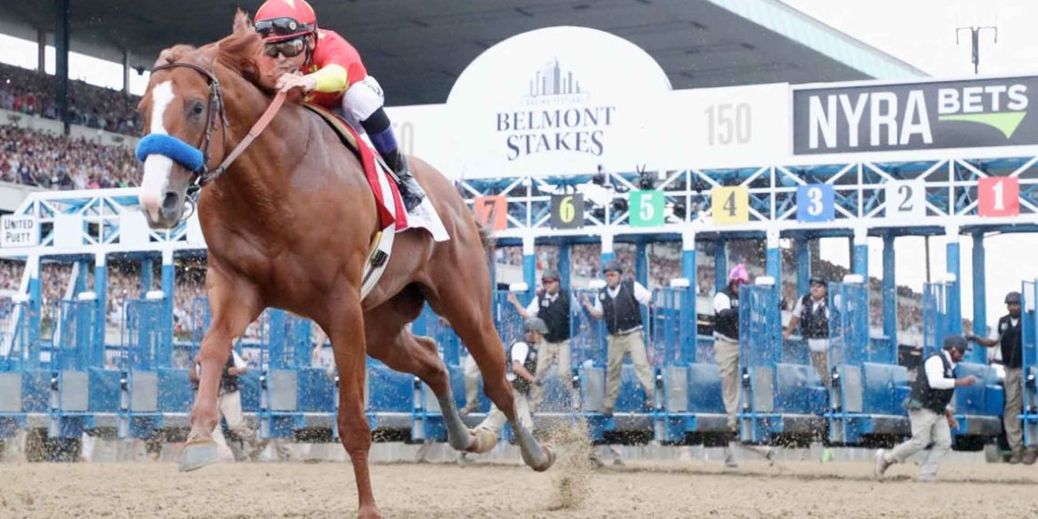 I tre Purosangue più costosi della storia