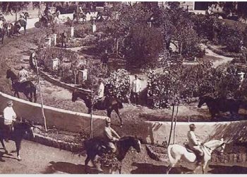 Sicilia protagonista nella candidatura UNESCO delle Arti e Tradizioni Equestri Italiane