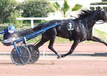 Iguski Sautonne, come Bellino II cinquant’anni dopo